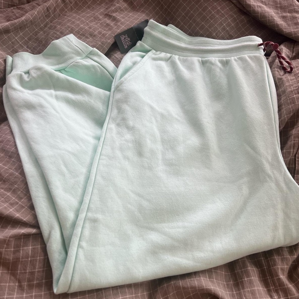 BNWT Wild Fable mint green XXL sweatpants